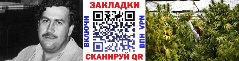 Где продают наркотики Лебедянь ГАШ  СК  COCAIN  МЕФ  Конопля 