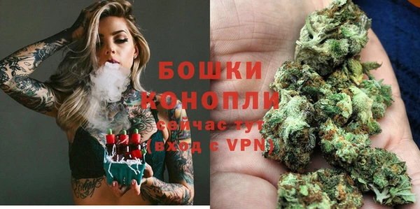 ешки Арсеньев