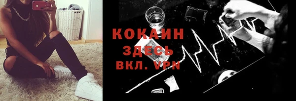 ешки Арсеньев