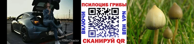 Псилоцибиновые грибы Magic Shrooms  Лебедянь 